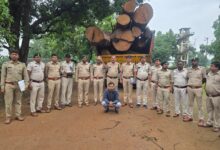 Illegal Timber Smuggling: Timber smuggling network spanning from Korba to Raipur exposed! 20 cubic meters of Sal wood seized... illegal Sal timber worth crores recovered.