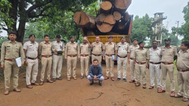 Illegal Timber Smuggling: Timber smuggling network spanning from Korba to Raipur exposed! 20 cubic meters of Sal wood seized... illegal Sal timber worth crores recovered.