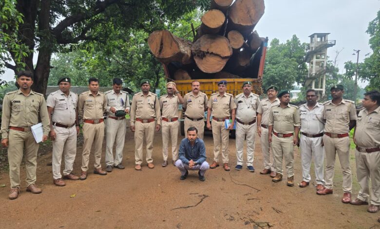 Illegal Timber Smuggling: Timber smuggling network spanning from Korba to Raipur exposed! 20 cubic meters of Sal wood seized... illegal Sal timber worth crores recovered.