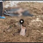 Child Murder: A chilling incident in Sakti...! Murder of an innocent 13-year-old solved within 40 hours; lured with the promise of money... strangled, and the body buried in a field.