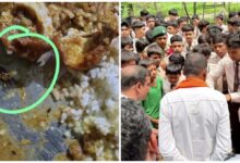 Eklavya Residential School: Uproar at Eklavya School...! Insects found in the food... students surrounded the MLA's vehicle and recounted their ordeal.