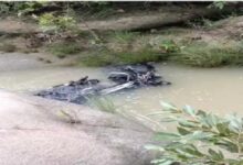 Flood Tragedy: Swollen stream claims young man's life in Korba...! Villagers tried to stop him, but he ventured in to cross... Body found 3 km away.