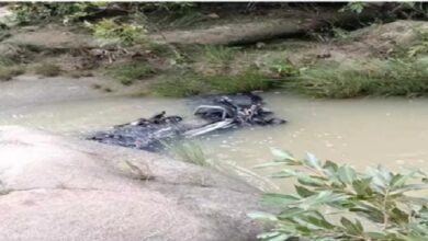 Flood Tragedy: Swollen stream claims young man's life in Korba...! Villagers tried to stop him, but he ventured in to cross... Body found 3 km away.