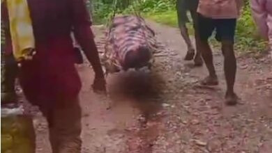 Rural Development: A harrowing scene from Korba... Villagers forced to carry a body on their shoulders due to the lack of a road... Questions raised over claims of development.