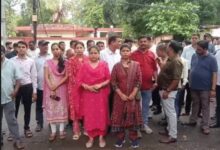 Bilaspur Snakebite Scam: Uproar over fraudulent snakebite compensation scam...! 3 clerks suspended... employees launch protest against the arrests.