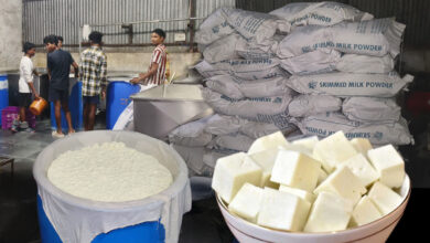 Analog Paneer: Products imitating paneer, cream, and butter banned in Chhattisgarh...! Government's strict order comes into effect immediately upon the issuance of the gazette notification.