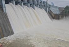 Bango Dam Gates Opened: 7 gates of Bango Dam opened...! 41,000 cusecs of water released into the Hasdeo River... 34 villages on alert.
