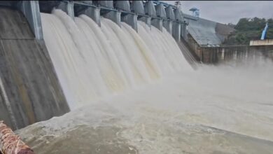 Bango Dam Gates Opened: 7 gates of Bango Dam opened...! 41,000 cusecs of water released into the Hasdeo River... 34 villages on alert.