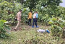 Murder Case: Mystery of woman's partially burnt body in Korba solved... Dispute over an attempt to engage in sexual relations... followed by murder and the burning of the face to destroy evidence... 1 arrested.