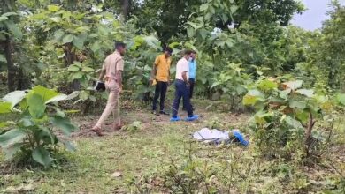 Murder Case: Mystery of woman's partially burnt body in Korba solved... Dispute over an attempt to engage in sexual relations... followed by murder and the burning of the face to destroy evidence... 1 arrested.