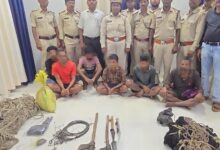 Illegal Hunting: Poachers' activities exposed in Indravati Tiger Reserve; 6 accused arrested, meat and hunting gear seized.