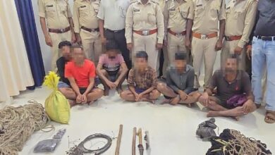 Illegal Hunting: Poachers' activities exposed in Indravati Tiger Reserve; 6 accused arrested, meat and hunting gear seized.