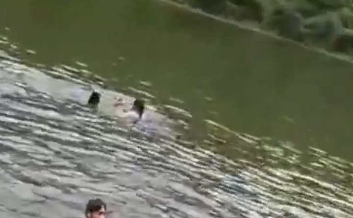 Principal Viral Video: Principal bathes naked in front of female students and lifts one onto his lap; video goes viral, sparking an uproar.