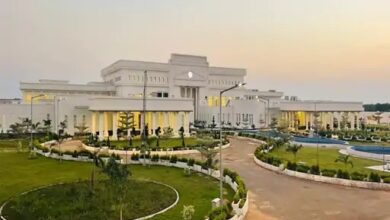 Hareli Tihaar: For the first time, the CM House in Naya Raipur will be decked out in a rural theme for the Hareli festival... Ministers and MLAs will ride *Gedi* (traditional bamboo stilts).