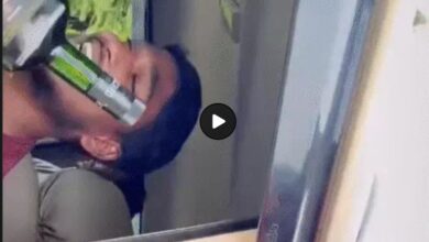 Korba Viral Video: Dangerous stunt for a 'Reel' at the Korba helipad! Young man leans out of a moving Bolero holding a liquor bottle; driver arrested.