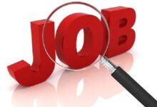 CGSSB Recruitment 2026: Chhattisgarh Staff Selection Board to recruit for 295 posts in the Home Guard, Fire, and SDRF... Get full details here.