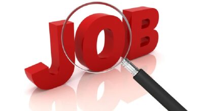 CGSSB Recruitment 2026: Chhattisgarh Staff Selection Board to recruit for 295 posts in the Home Guard, Fire, and SDRF... Get full details here.