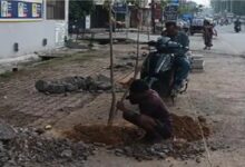 Tree-Cutting Case: Setback for the ‘Ek Ped Maa Ke Naam’ (A Tree in Mother’s Name) campaign in Korba... Shop owner had a government-planted sapling cut down... Police took action.