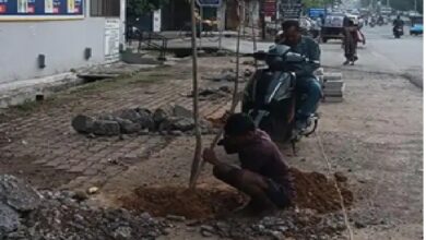 Tree-Cutting Case: Setback for the ‘Ek Ped Maa Ke Naam’ (A Tree in Mother’s Name) campaign in Korba... Shop owner had a government-planted sapling cut down... Police took action.