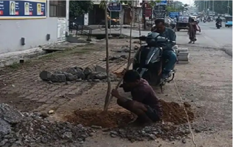 Tree-Cutting Case: Setback for the ‘Ek Ped Maa Ke Naam’ (A Tree in Mother’s Name) campaign in Korba... Shop owner had a government-planted sapling cut down... Police took action.