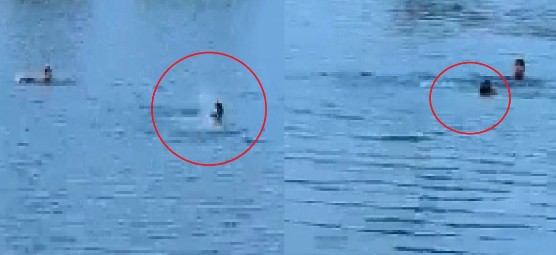 Raipur News: A bet to swim in 'Blue Water' proves fatal; 24-year-old man drowns in deep water; SDRF search operation underway.