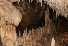 Elephant in Kailash Cave: A herd of 30 elephants camps in Kailash Cave! Threat looms over the Kanwar Yatra... Villager attacked... Watch the video.