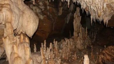 Elephant in Kailash Cave: A herd of 30 elephants camps in Kailash Cave! Threat looms over the Kanwar Yatra... Villager attacked... Watch the video.