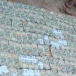 Khair Wood Case: The racket involving 23.35 tonnes of Khair wood and a forged NOC! ₹81 lakh in cash found at the accused's home; police have seized it.