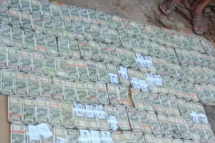 Khair Wood Case: The racket involving 23.35 tonnes of Khair wood and a forged NOC! ₹81 lakh in cash found at the accused's home; police have seized it.